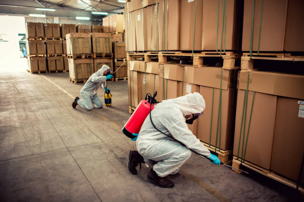 Best Affordable Pest Control Services  in Cottage Lake, WA