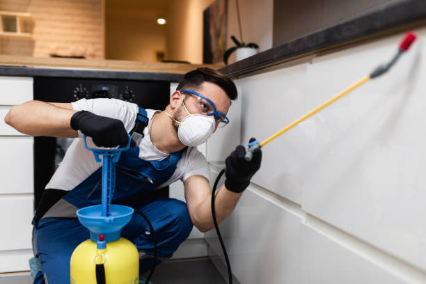 Best Cockroach Control Services  in Cottage Lake, WA