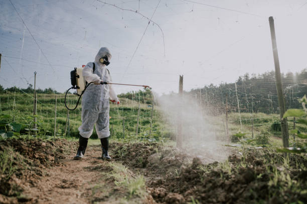 Best Pest Removal Services  in Cottage Lake, WA