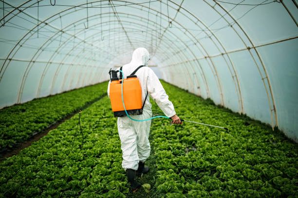 Best Commercial Pest Control Services  in Cottage Lake, WA