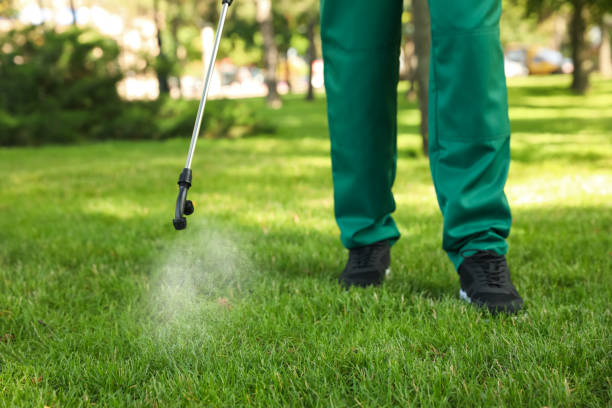Best Affordable Pest Control Services  in Cottage Lake, WA