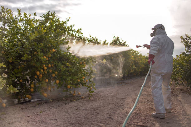 Best Flea Control Services  in Cottage Lake, WA